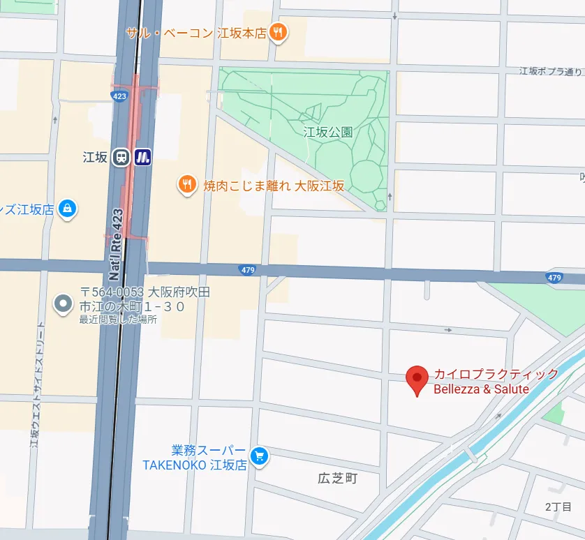 ARI カイロプラクティック　MAP